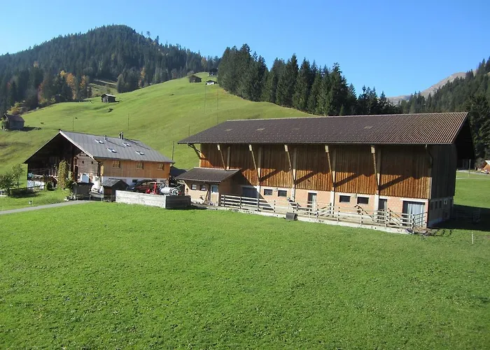 Gaesslihof 住宿加早餐酒店 *