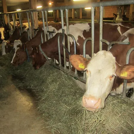 Couette-café Gaesslihof Gstaad